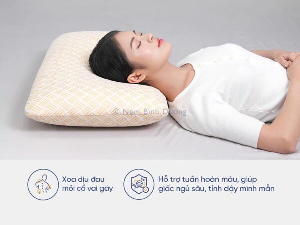 Gối cao su Kim Cương - Nệm Bình Dương 9 Gối cao su Kim Cương - Nệm Bình Dương