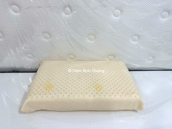 Gối cao su Vạn Thành Oval - Nệm Bình Dương 9 Gối cao su Vạn Thành Oval - Nệm Bình Dương