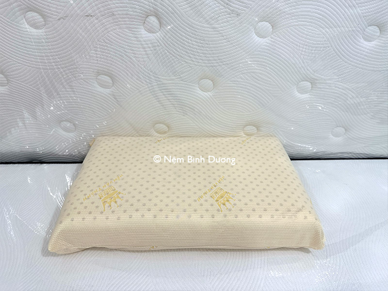 Gối cao su Vạn Thành Oval - Nệm Bình Dương 5 Gối cao su Vạn Thành Oval - Nệm Bình Dương
