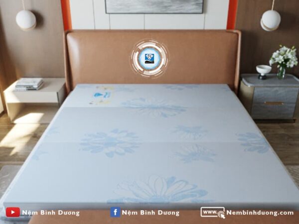 Nệm bông ép Acness Kim Cương - Nệm Bình Dương