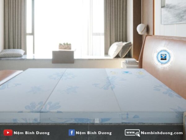 Nệm bông ép Acness Kim Cương - Nệm Bình Dương