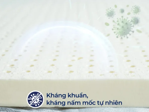 Nệm Cao Su Liên Á Cho Bé