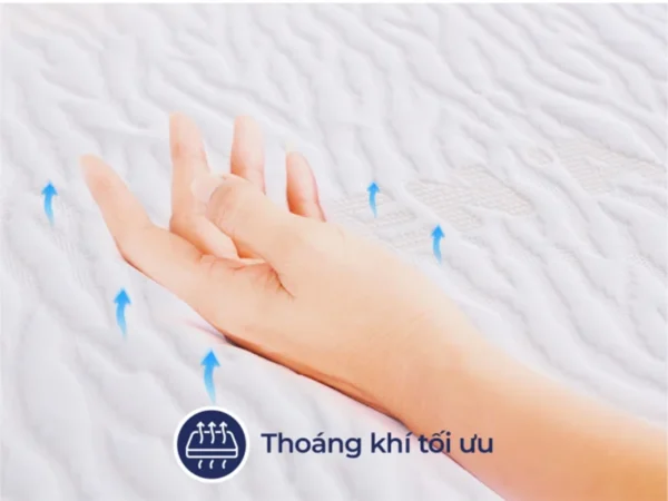 Nệm Cao Su Liên Á Classic