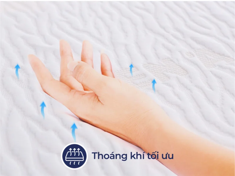 Nệm Cao Su Liên Á Classic 11 Nệm Cao Su Liên Á Classic