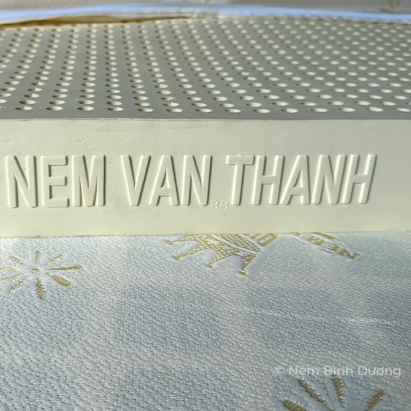 Nệm Cao Su Vạn Thành Standard 9 Nệm Cao Su Vạn Thành Standard