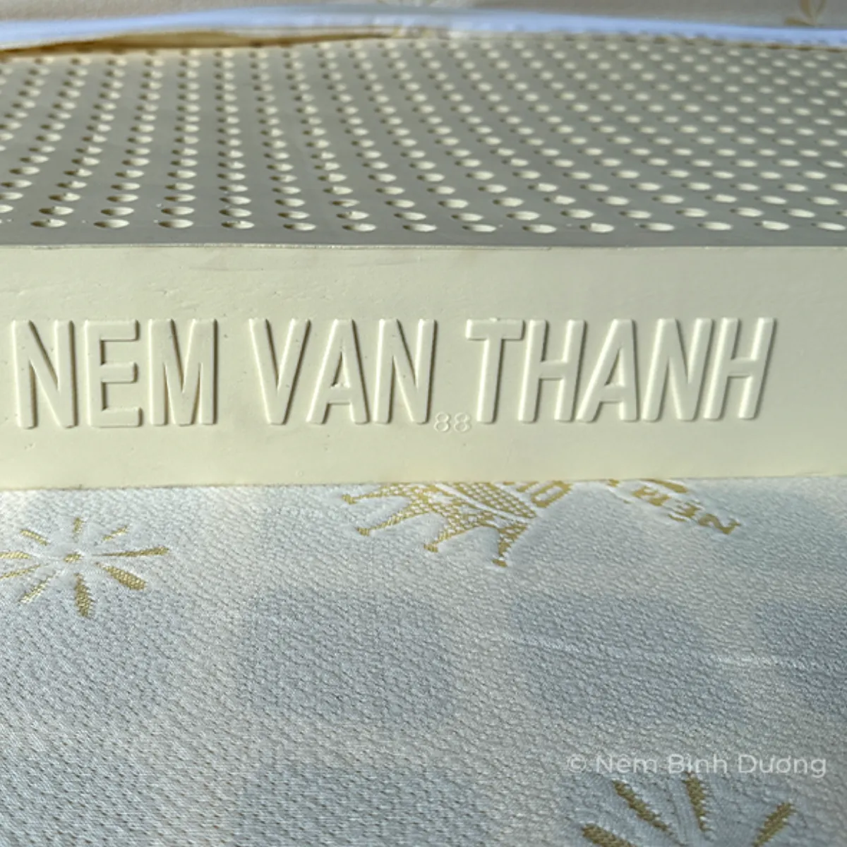 Nệm Cao Su Vạn Thành Standard 5 Nệm Cao Su Vạn Thành Standard
