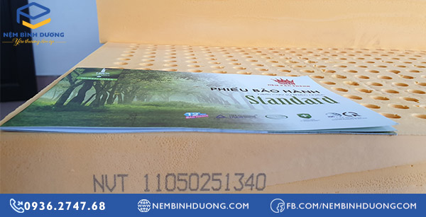 Nệm Cao Su Vạn Thành Tại Bình Dương - Nệm Bình Dương