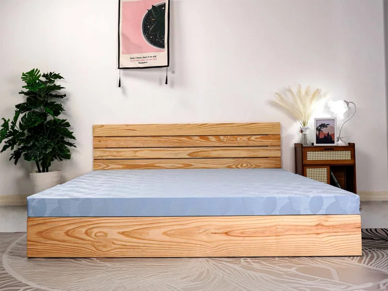 Nệm Bông Ép Cứng Aroma (adora) Ceramic 1 Nệm Bông Ép Cứng Aroma (adora) Ceramic