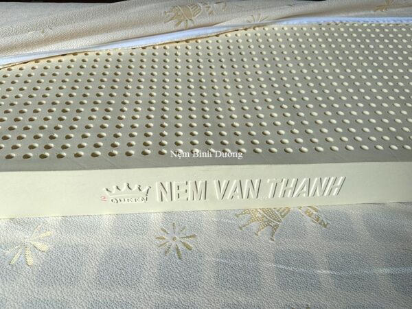 Nệm cao su Vạn Thành Standard - Nệm Bình Dương