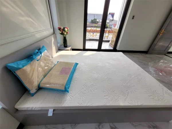 Nệm Cao Su Vạn Thành Standard 1m6