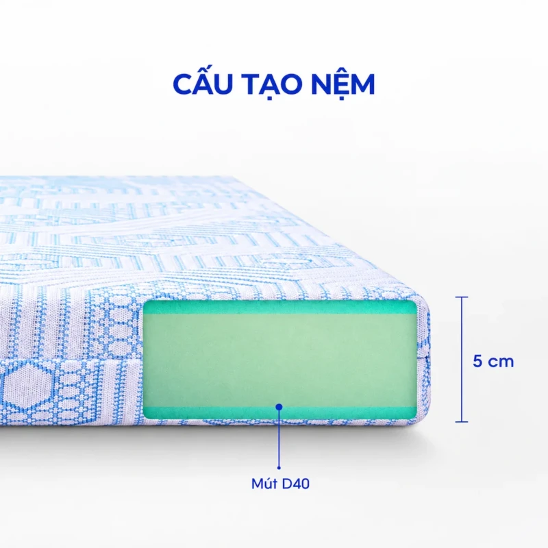 Nêm Foam Aroma Luxury