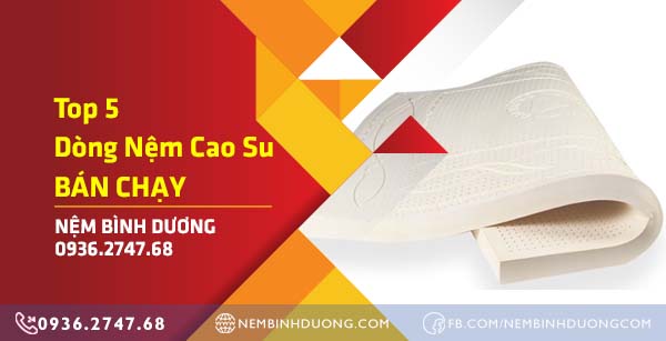 Top 5 Dòng Nệm Cao Su Bán Chạy Tại Bình Dương
