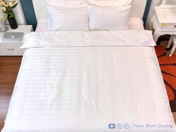 Ga trắng sọc 3F - Nệm Bình Dương