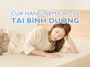 Cửa hàng nệm cao su tại Bình Dương - Nệm Bình Dương
