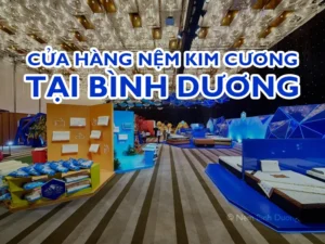 Cửa hàng nệm Kim Cương tại Bình Dương