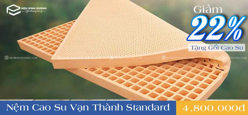 Nệm cao su Vạn Thành Standard - Nệm Bình Dương 3 Nệm cao su Vạn Thành Standard - Nệm Bình Dương