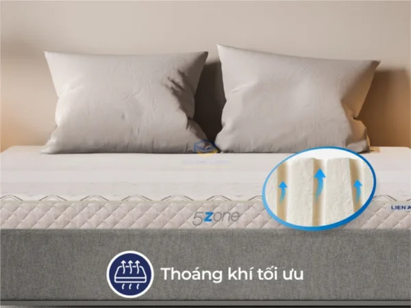 Nệm cao su Liên Á 5Zone