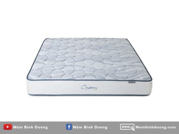 Nệm lò xo LIÊN Á CASSARO FIRM - Nệm Bình Dương