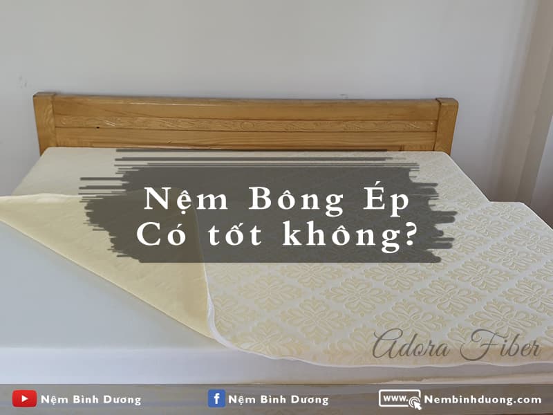Nệm bông ép có tốt không - Nệm Bình Dương