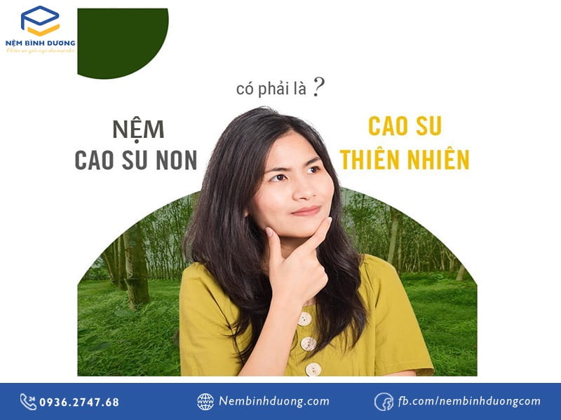 Nệm cao su non có phải là nệm cao su thiên nhiên không? Nệm Bình Dương
