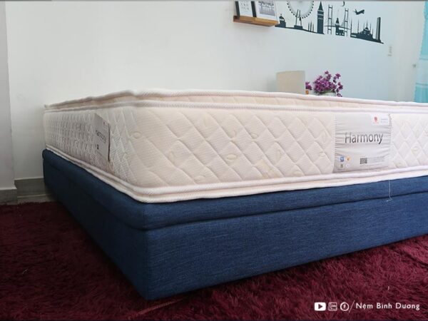 Nệm lò xo túi Vạn Thành Harmony - Nệm Bình Dương 10 Nệm lò xo túi Vạn Thành Harmony - Nệm Bình Dương