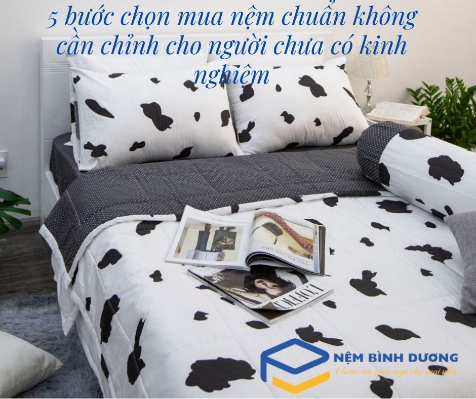 Chọn mua nệm cần xem xét nhu cầu và điều kiện tài chính