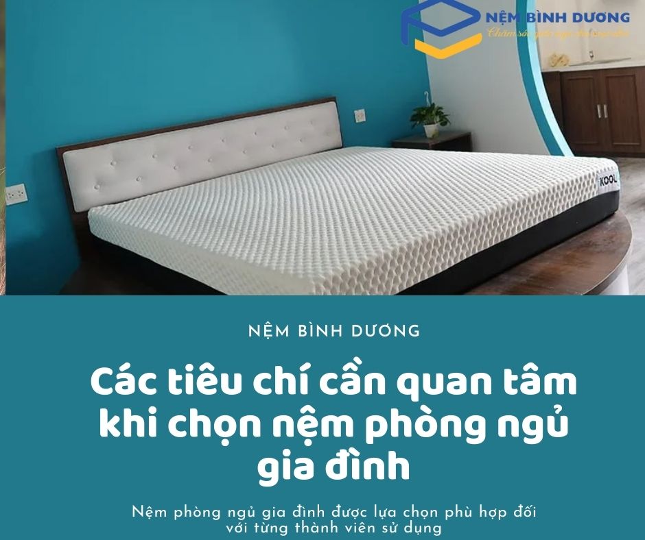 tieu chi chon nem phu hop 1