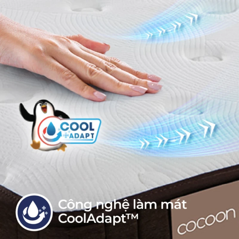 Nệm lò xo túi Liên Á Cocoon