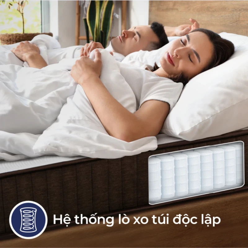 Nệm lò xo túi Liên Á Cocoon