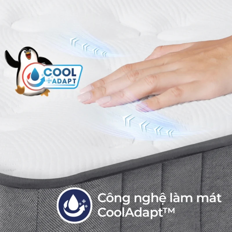 Nệm lò xo túi Liên Á Cocoon Grey