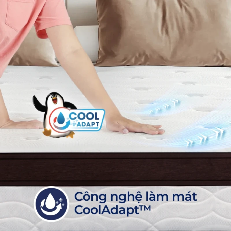 Nệm lò xo túi Liên Á Cocoon Premium