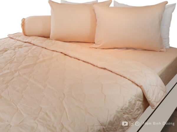 Drap đơn màu Thanh Thuỷ Guni