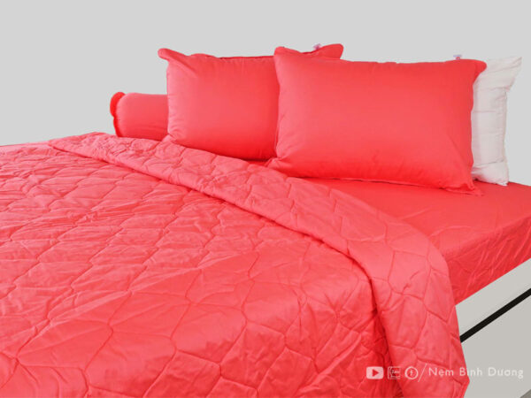 Drap đơn màu Thanh Thuỷ Guni