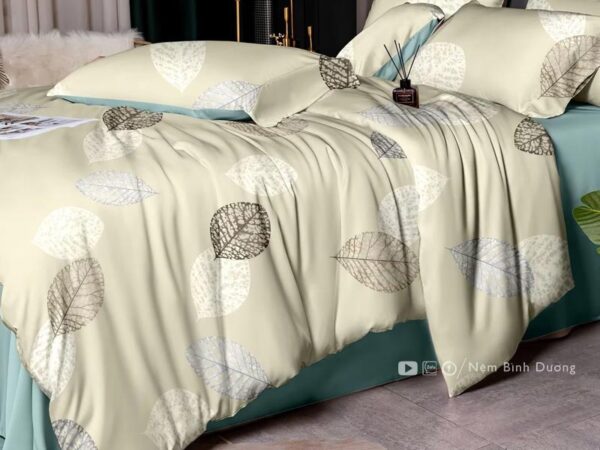 Bộ drap lụa modal