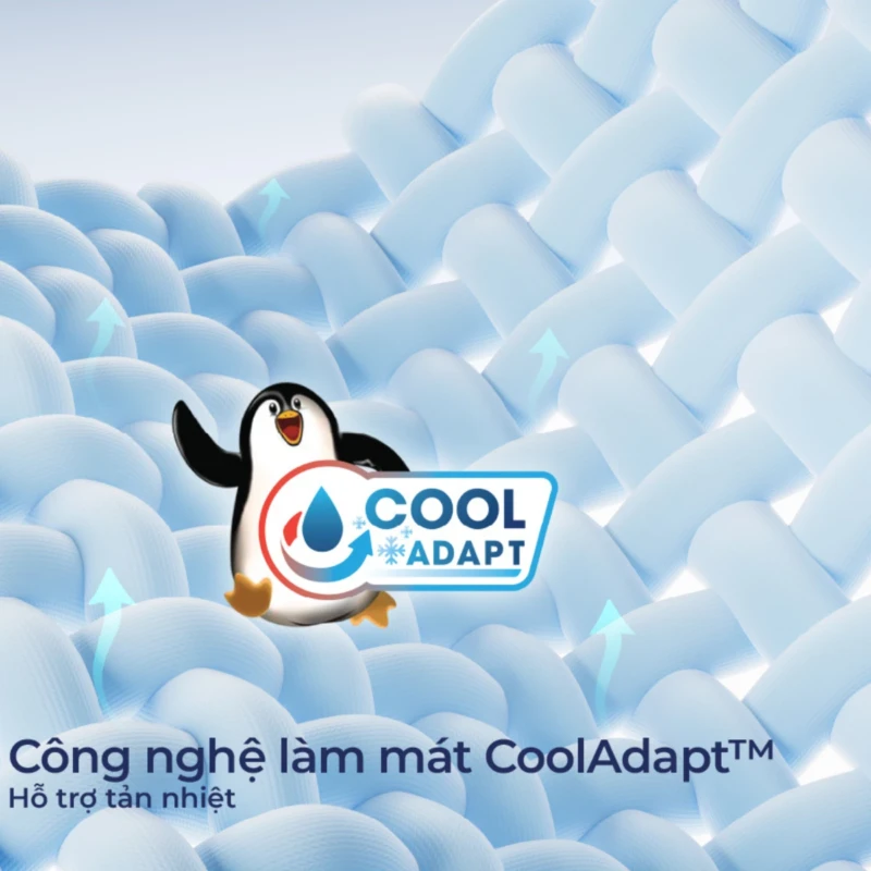 Nệm cao su Liên Á LA Dome Cool