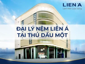 Đại Lý Nệm Liên Á Chính Hãng Tại Thủ Dầu Một
