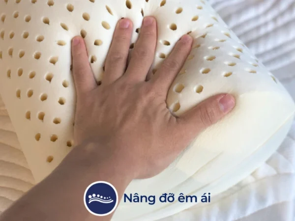 Gối ôm Cao Su Liên Á Bolster 9 Gối ôm Cao Su Liên Á Bolster