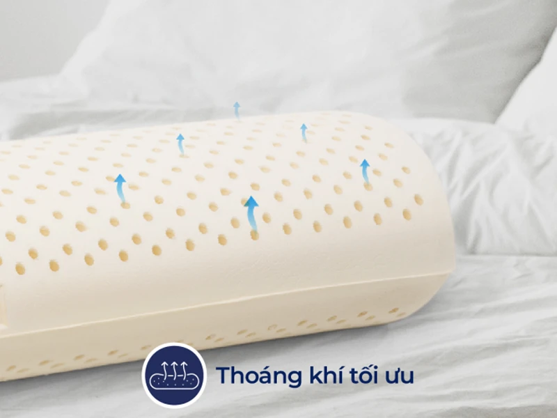 Gối ôm Cao Su Liên Á Bolster 10 Gối ôm Cao Su Liên Á Bolster
