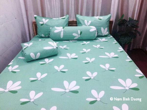 Drap (ga) cotton Thắng Lợi - Nệm Bình Dương