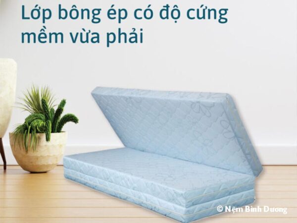Nệm bông ép Liên Á Mliving 7 Nệm bông ép Liên Á Mliving