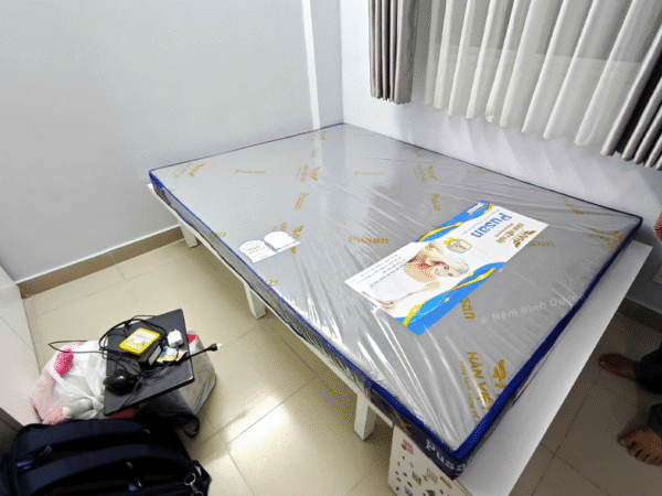 Nệm ép Dẻo Pusan Hàn Việt Hải 6 Nệm ép Dẻo Pusan Hàn Việt Hải