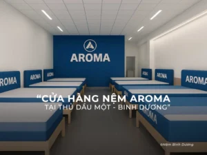 Cửa Hàng Nệm Aroma Tại Thủ Dầu Một