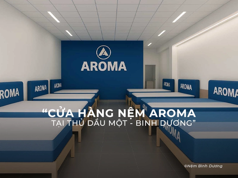Cửa Hàng Nệm Aroma Tại Thủ Dầu Một