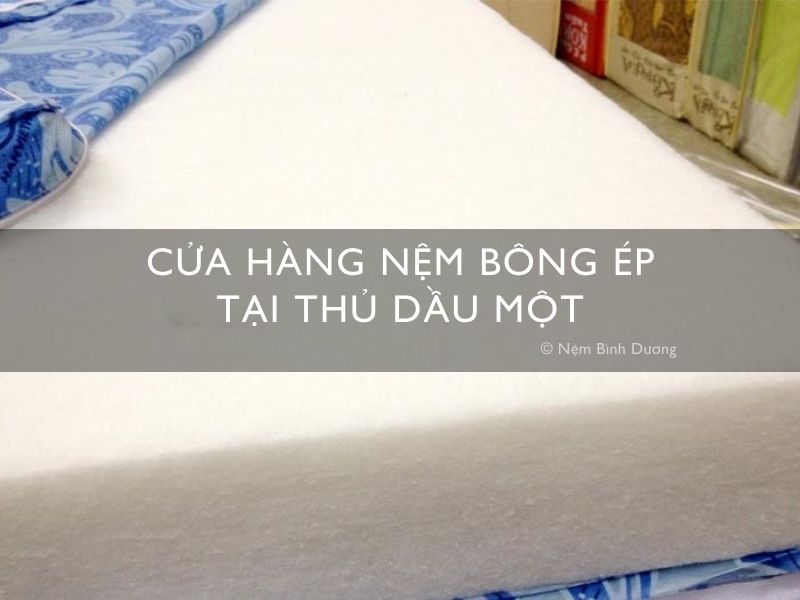Cửa hàng nệm bông ép tại Thủ Dầu Một