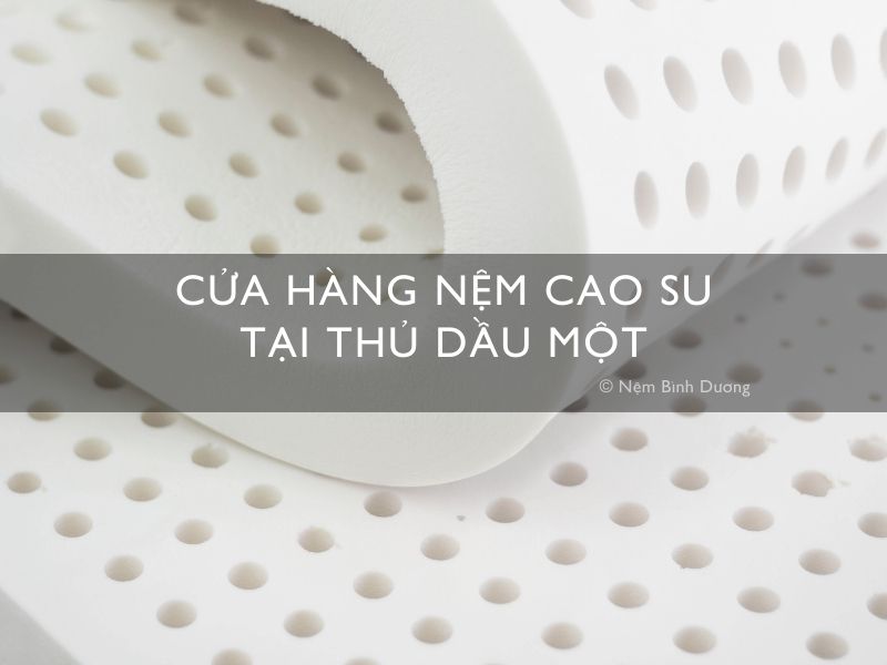 cua hang nem cao su tai thu dau mot