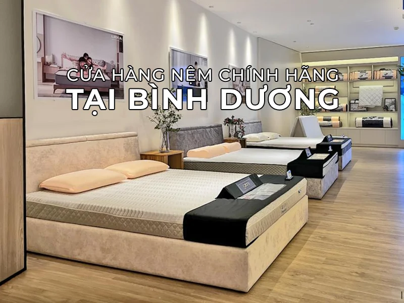 Cửa Hàng Nệm Chính Hãng Tại Bình Dương