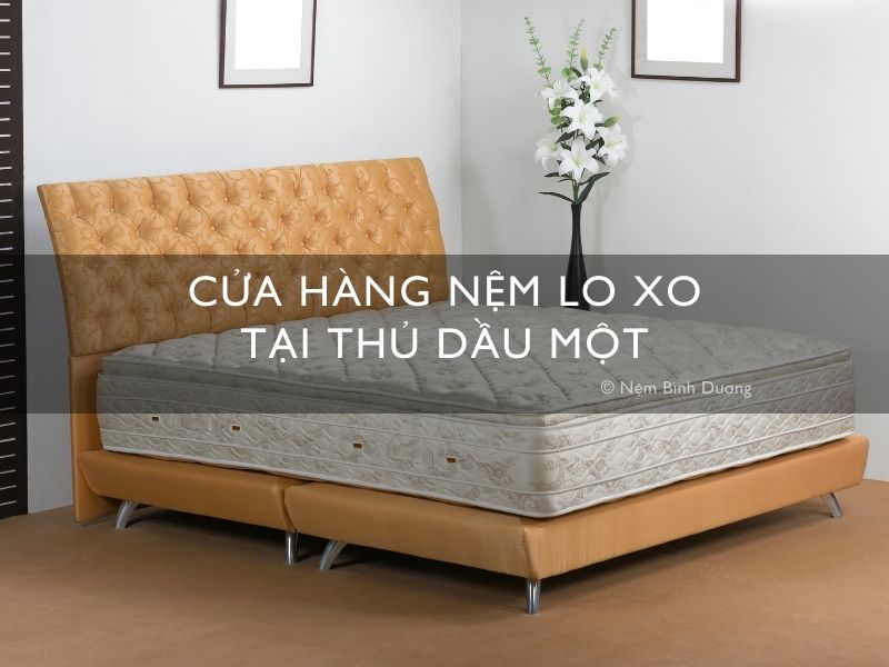 Cửa hàng nệm lò xo tại Thủ Dầu Một
