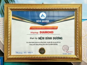 Đại lý Nệm Aroma chính hãng tại Thủ Dầu Một