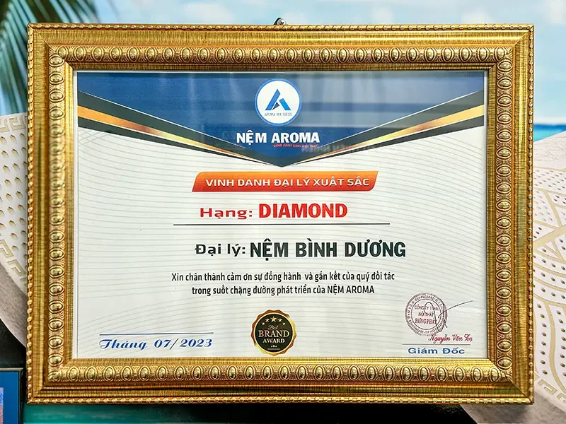 Đại lý Nệm Aroma chính hãng tại Thủ Dầu Một