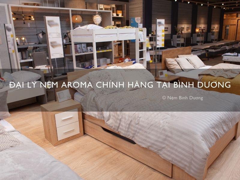 dai ly nem aroma chinh hang tai binh duong 1